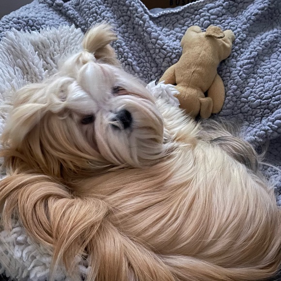 Meet your Posher, Julie - Picture 2 of 2